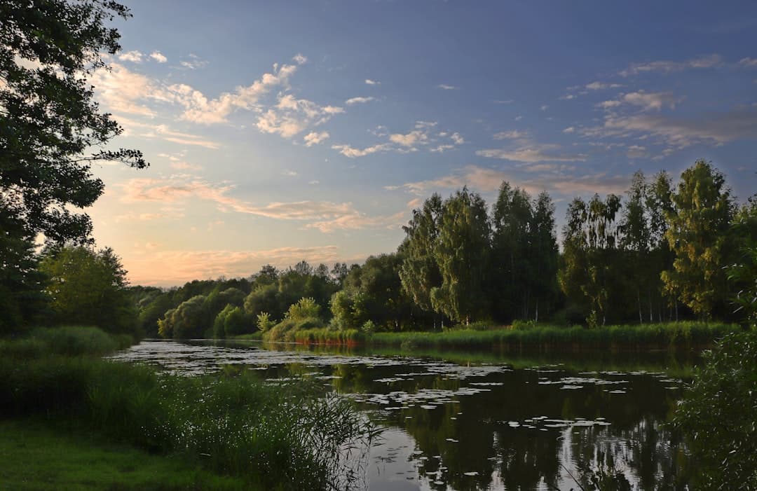 Coucher de soleil sur un plan d’eau calme bordé d’arbres