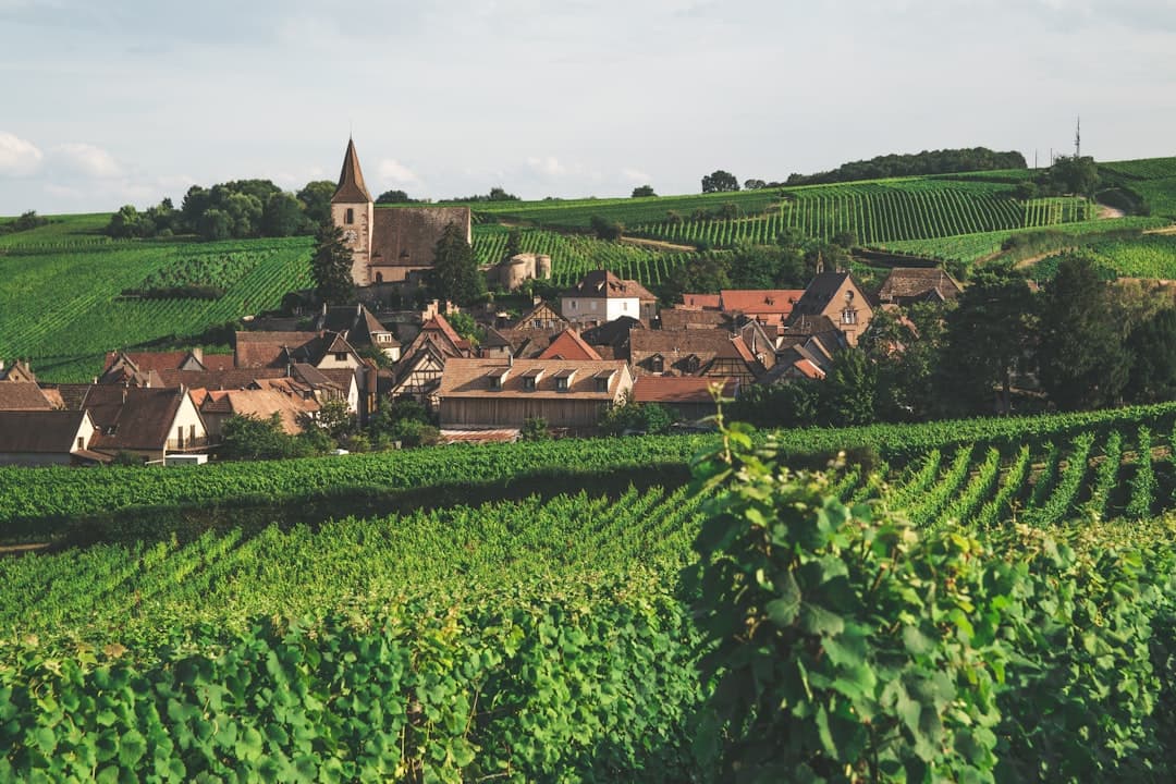 Petit village entouré de champs verdoyants et de collines